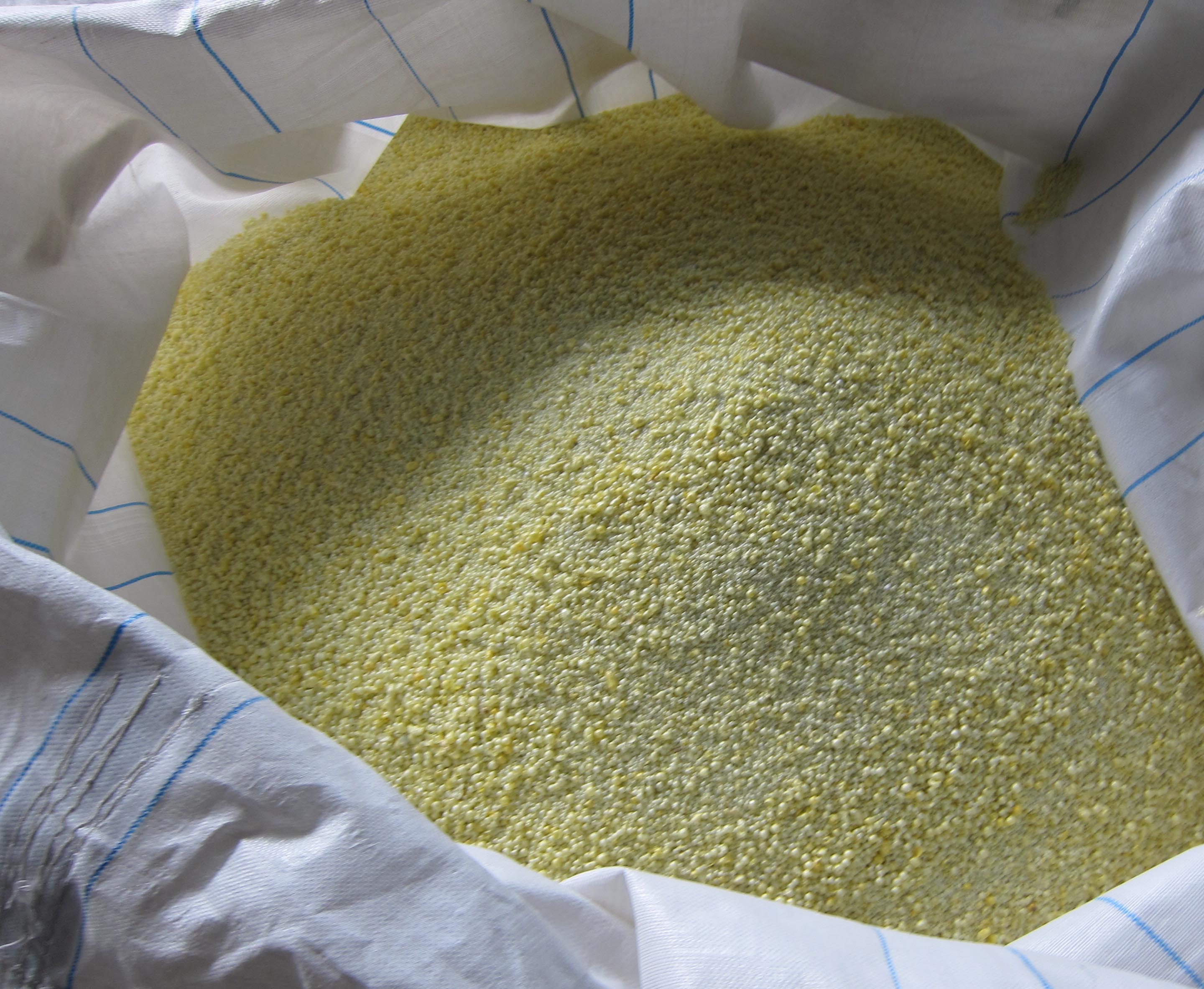 Calcium Stabilized Zirconia